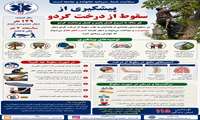 با شروع فصل برداشت گردو؛ پیشگیری از سقوط و آسیب‌های نخاعی را جدی بگیریم